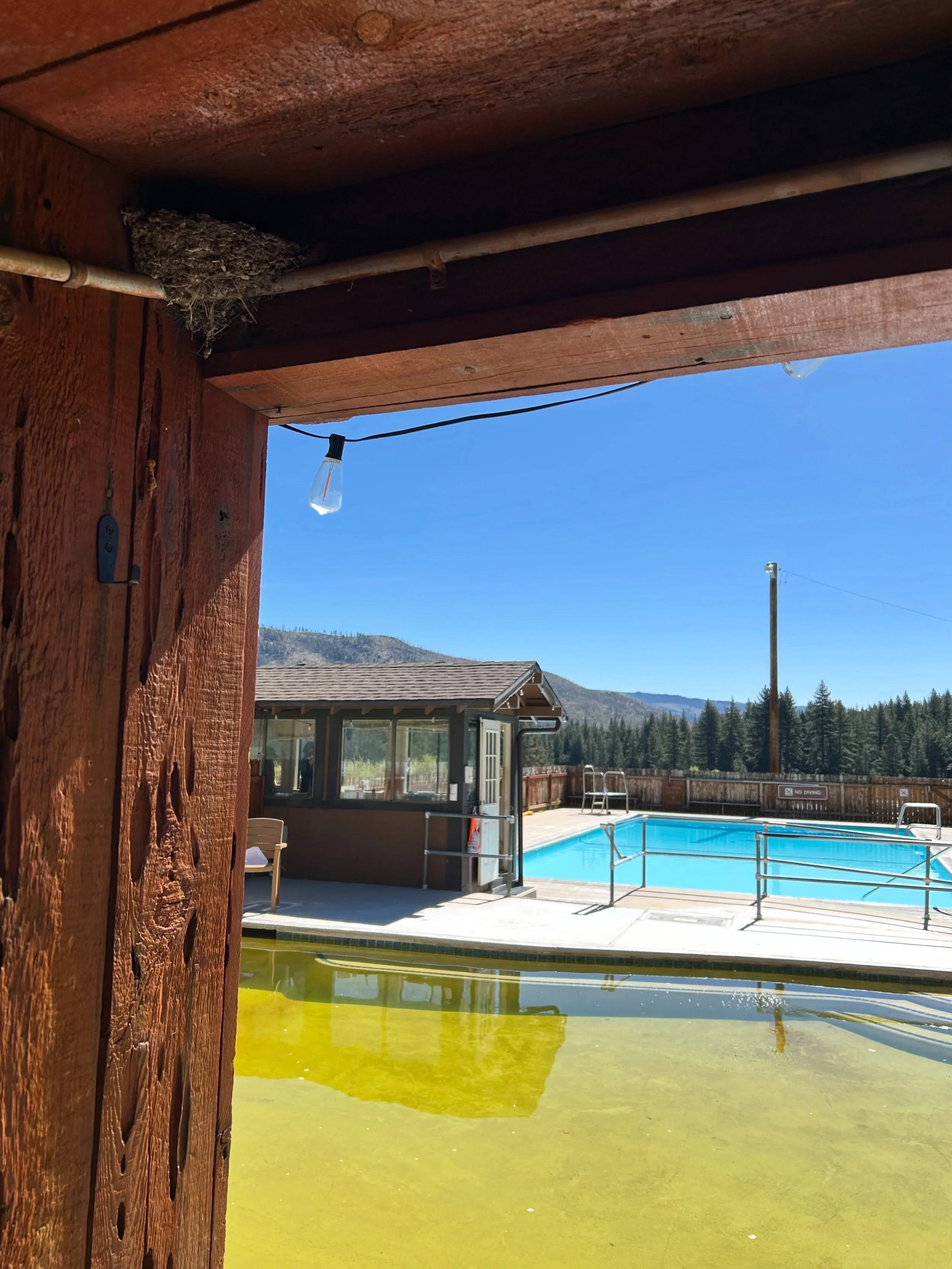 It&rsquo;s a beautiful day @ Grover Hot Springs State Park! 
#VisitAlpineCounty