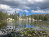 About | Discover Alpine County – Plan Your Visit — Alpine County ...