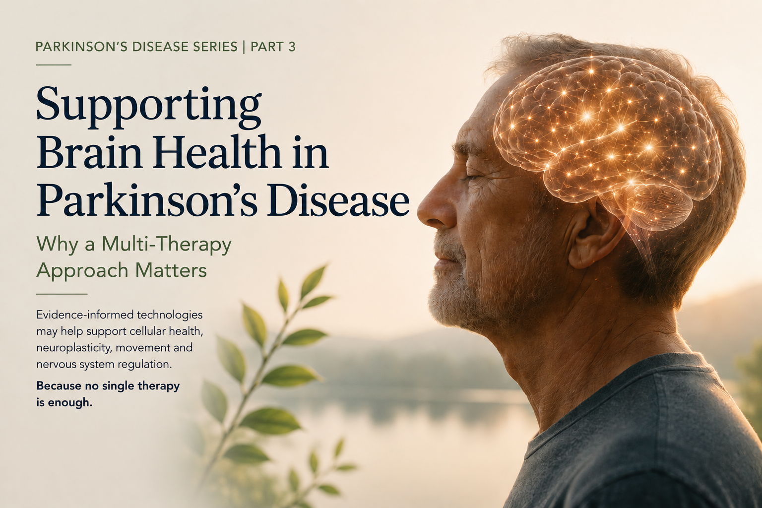 Supporting Brain Health in Parkinson's Disease: a multi-pronged approach matters. Part 3