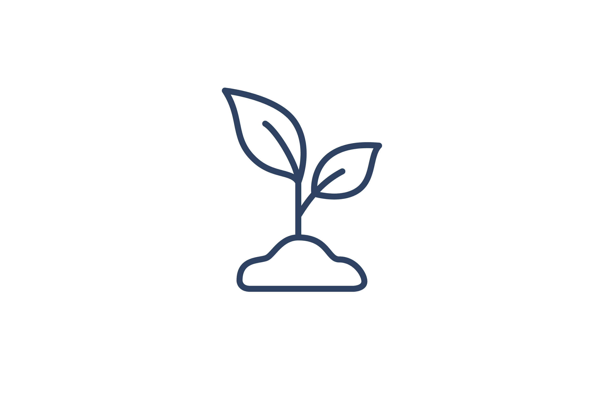 Outline of a sprouting plant with two leaves emerging from the ground, symbolizing growth and nature.