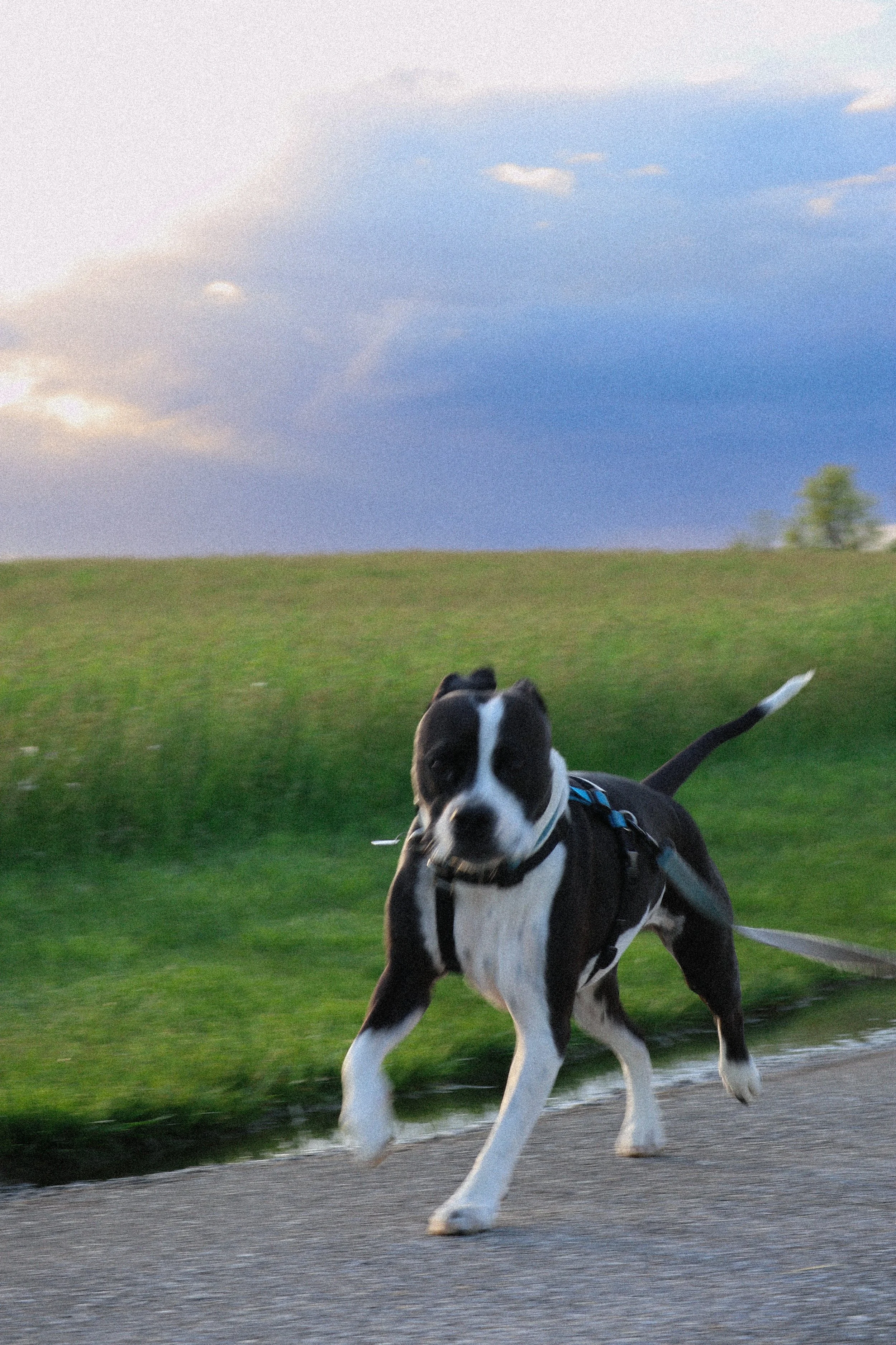 IMG_5013.JPG