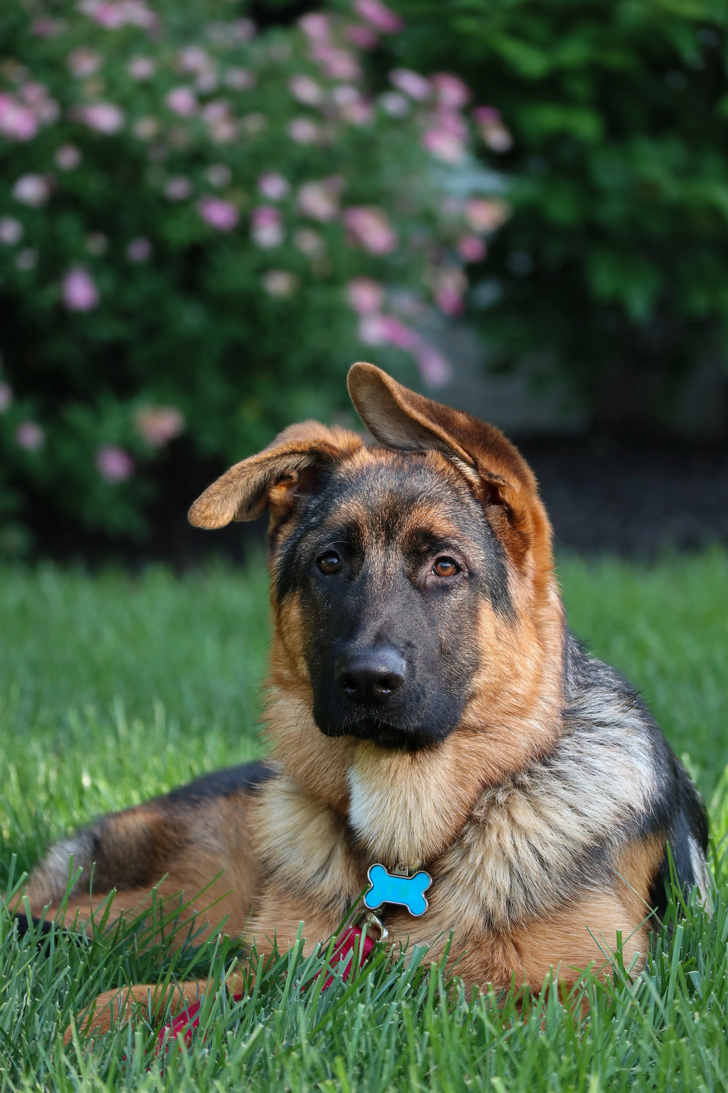 IMG_7590.JPG
