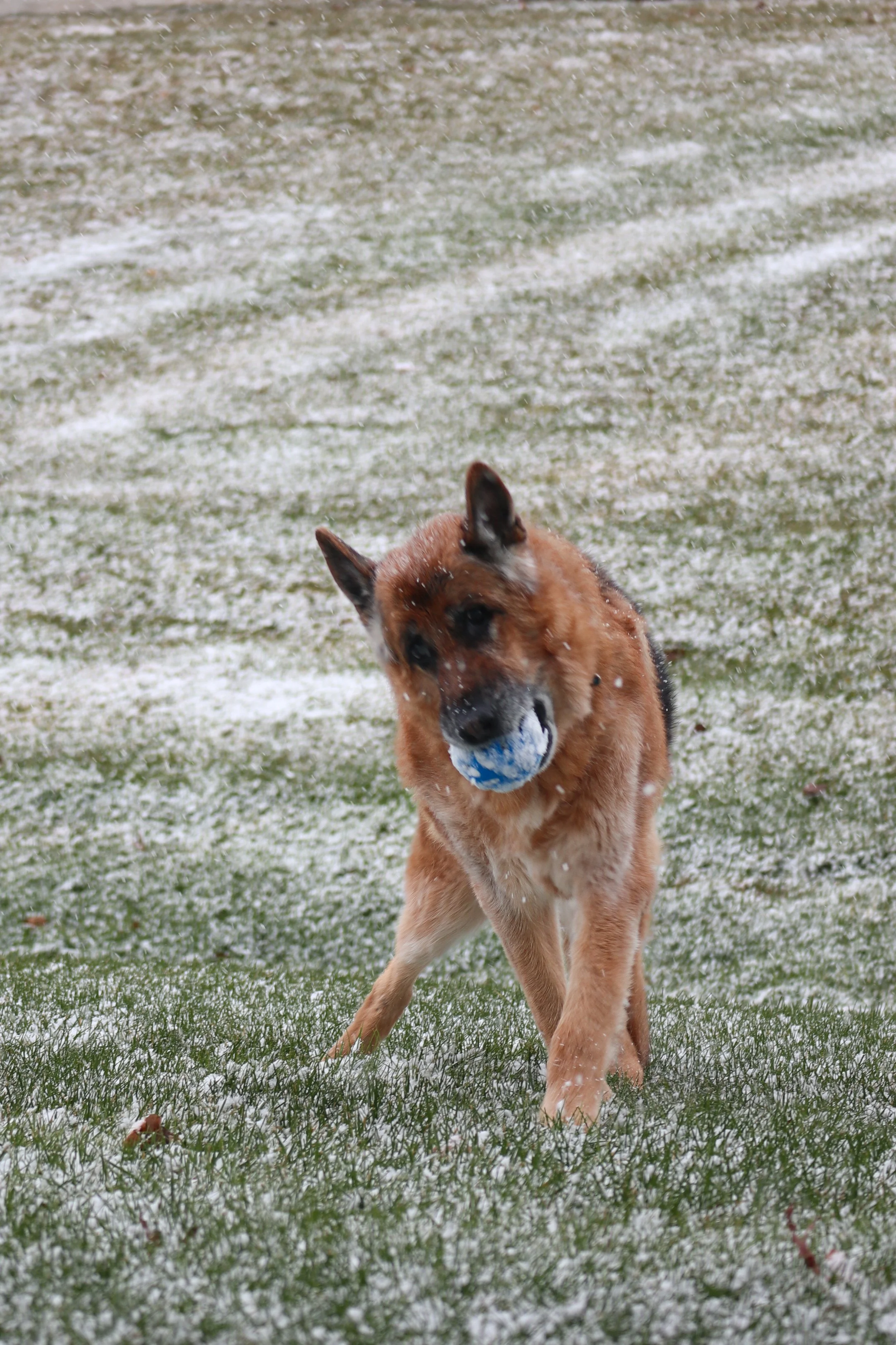 IMG_0398_Original.jpg
