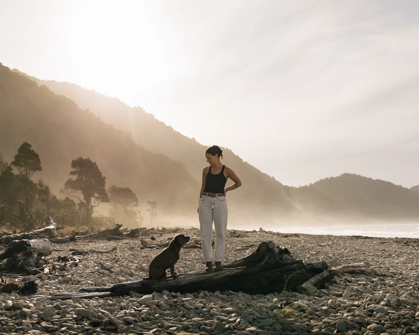 The wild coast, a place where trees look like they have been there for centuries and hold so many stories. Where dolphins cruise the bay, keeping you entertained for hours. Where you can switch off and nothing really matters until it&rsquo;s time to 