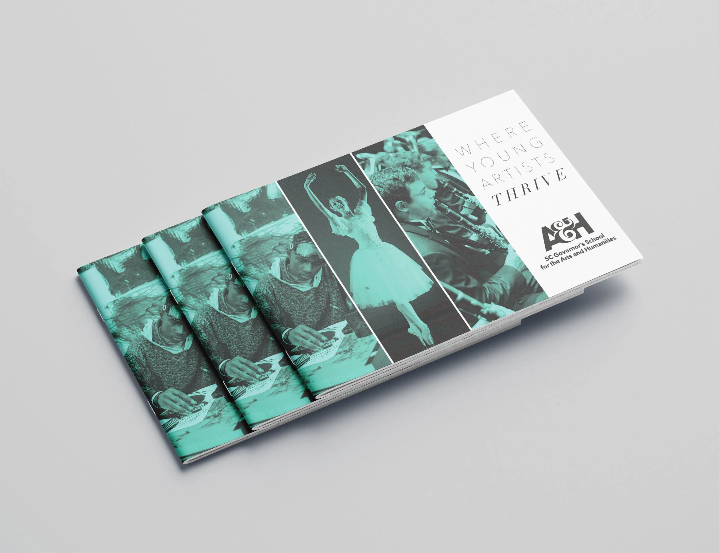 Viewbook-Cover.jpg