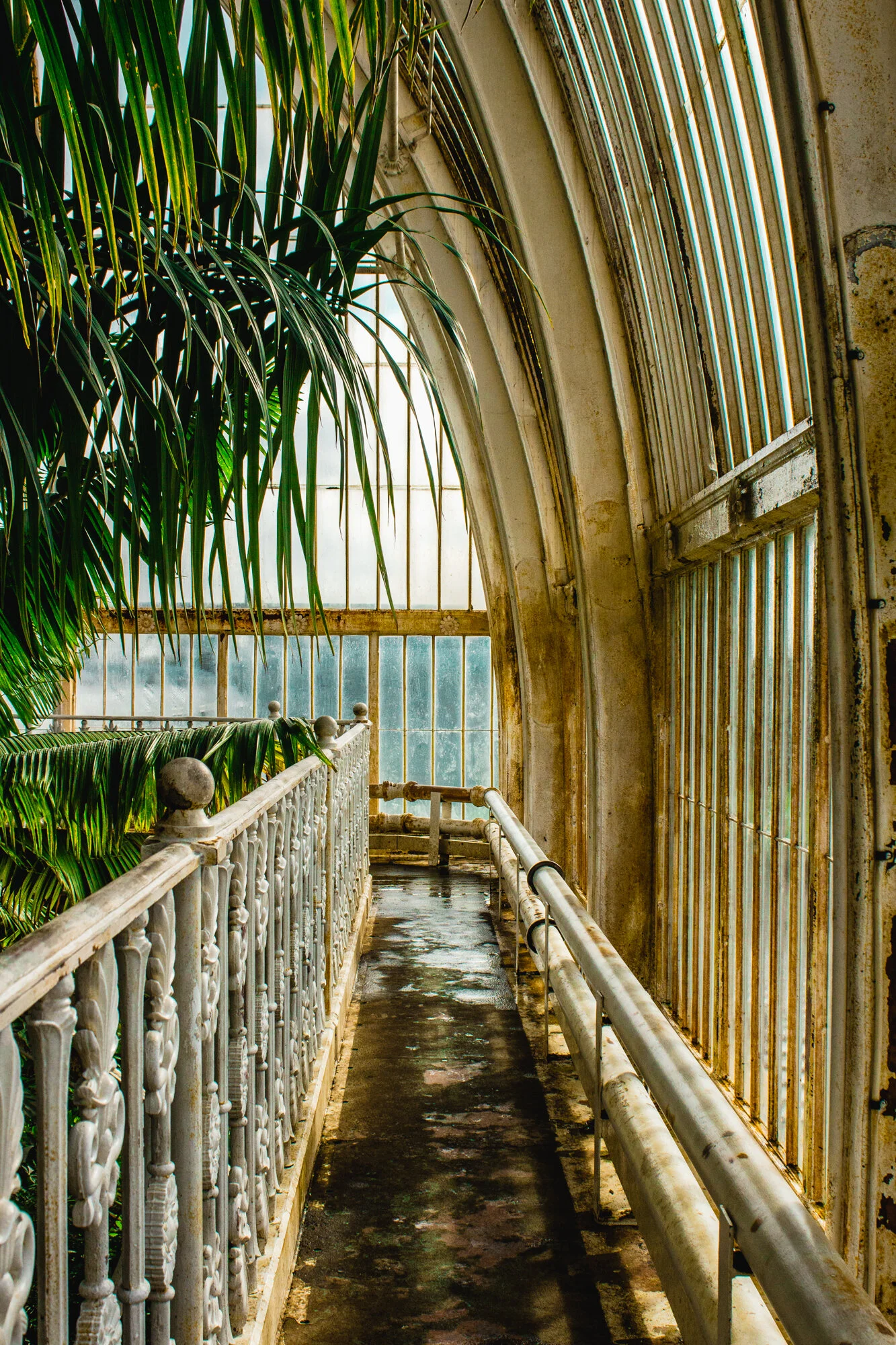 Kew Gardens_Jefferson-18.jpg