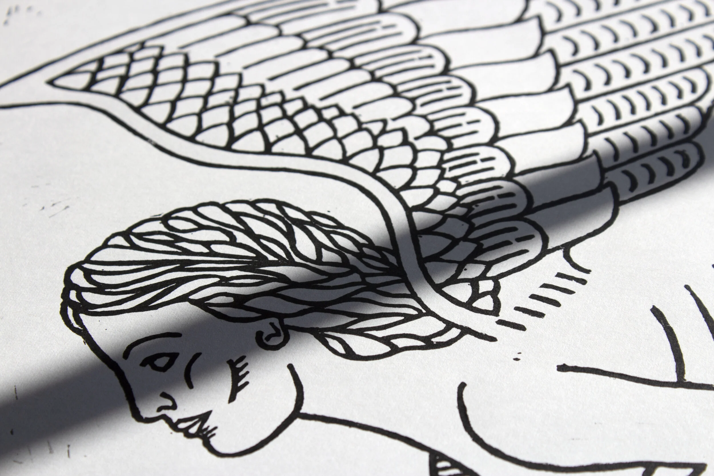 Sphinx Print_Face.jpg