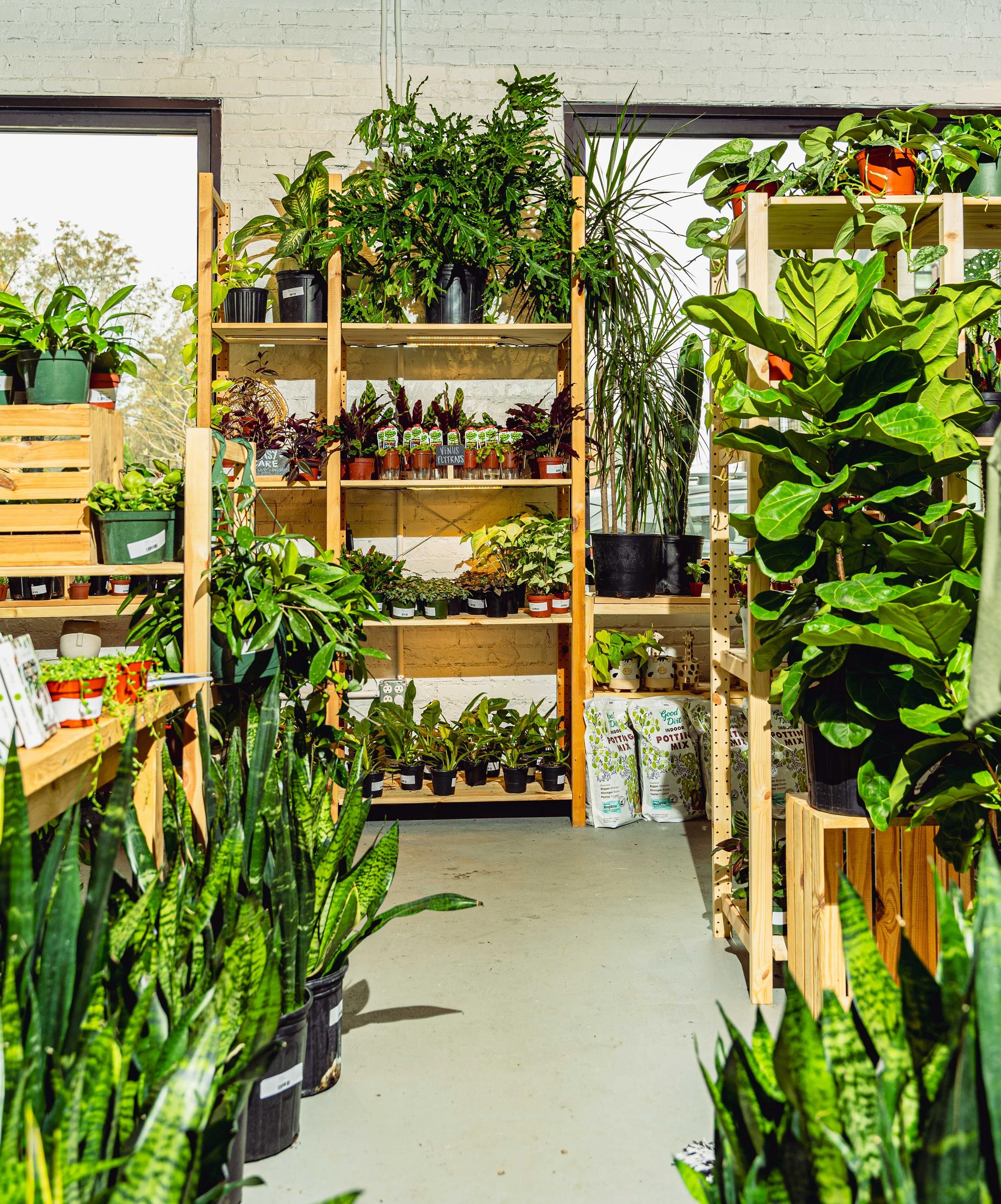 Sun and Soil_Jan TOWN 2024-Jen Jefferson-web-11.jpg