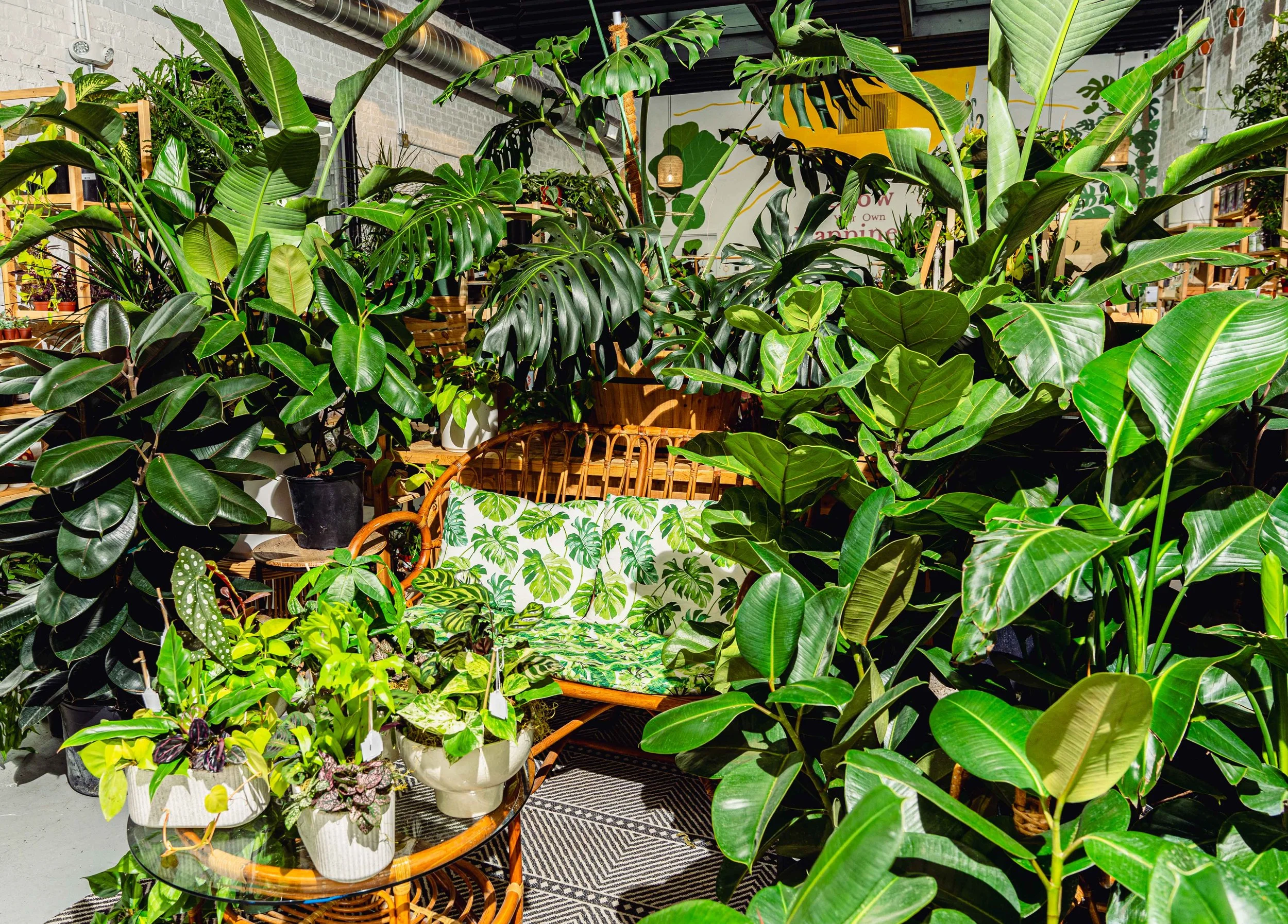 Sun and Soil_Jan TOWN 2024-Jen Jefferson-web-14.jpg