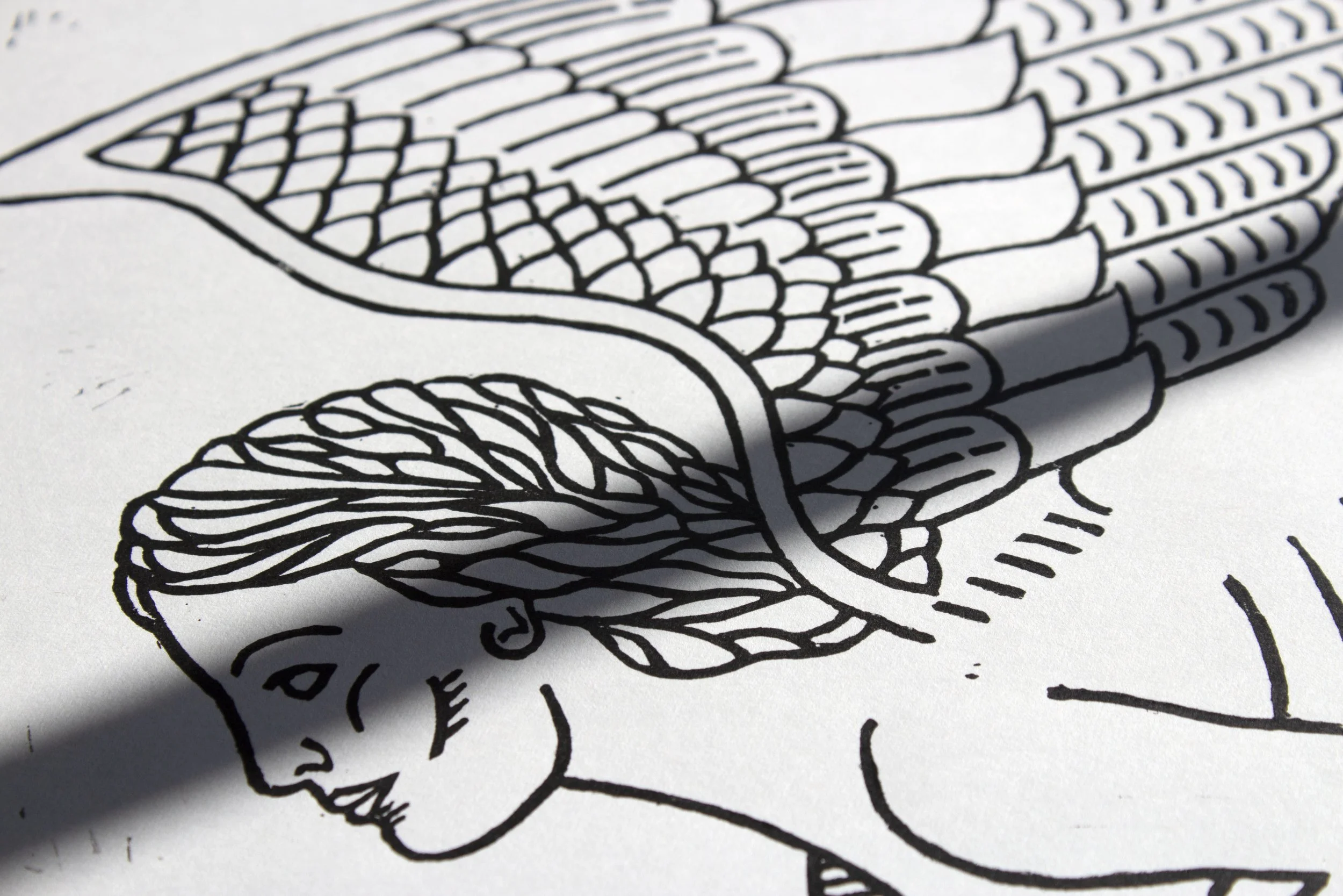Sphinx Print_Face.jpg