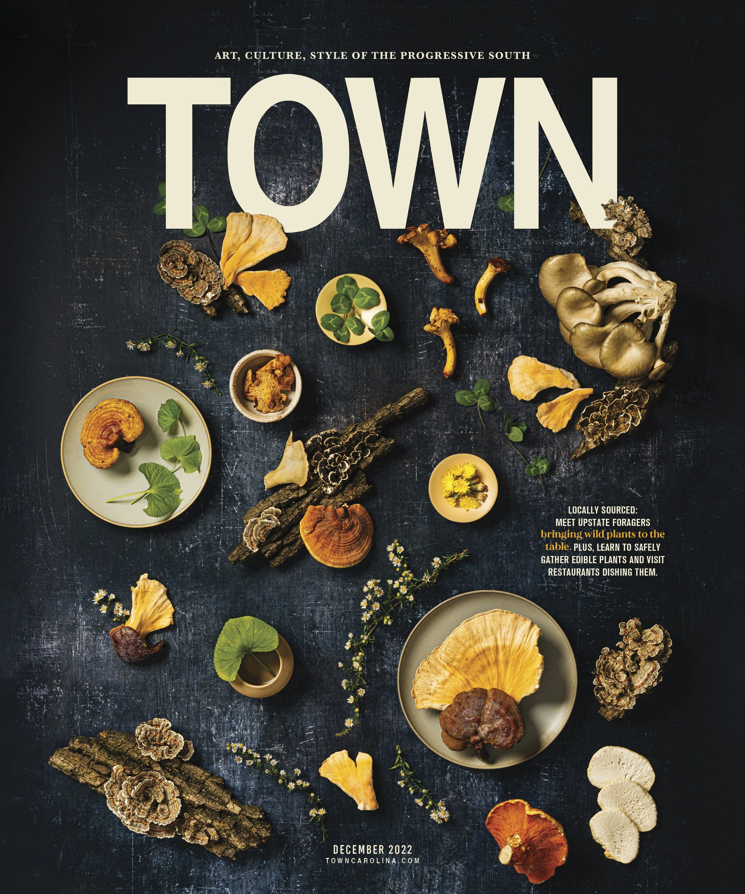 TOWN_COVER_December 2022 web.jpg