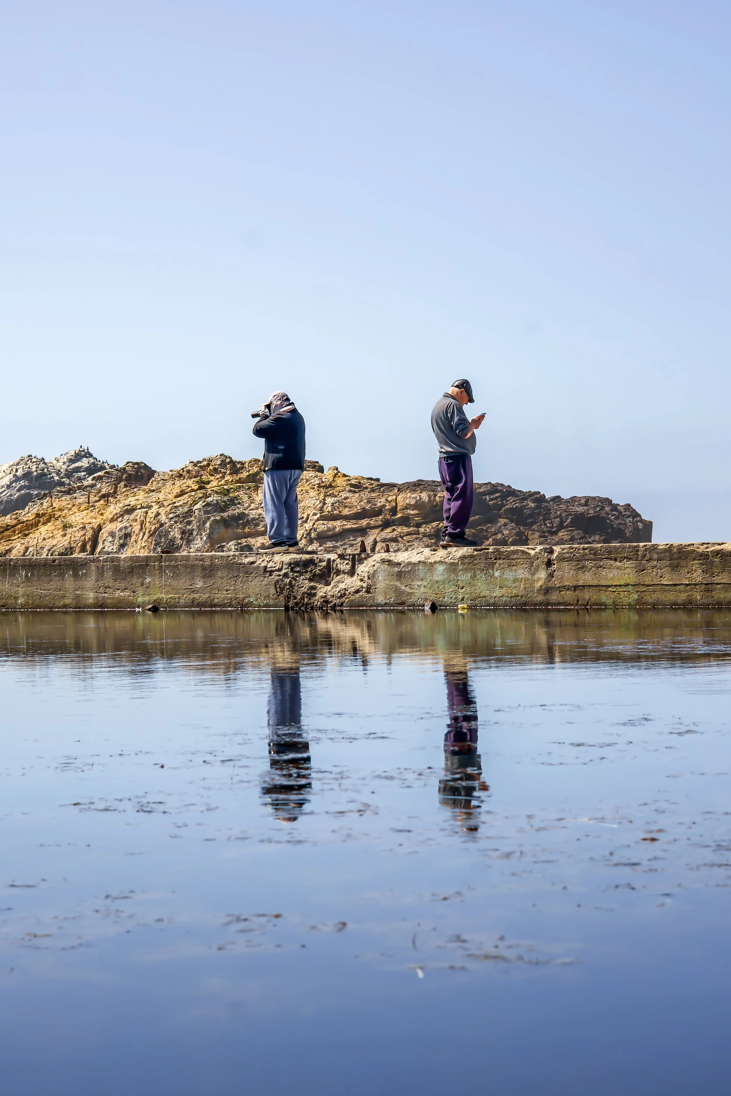 "Alone Together" Archival C-Print (12"x18") Framed