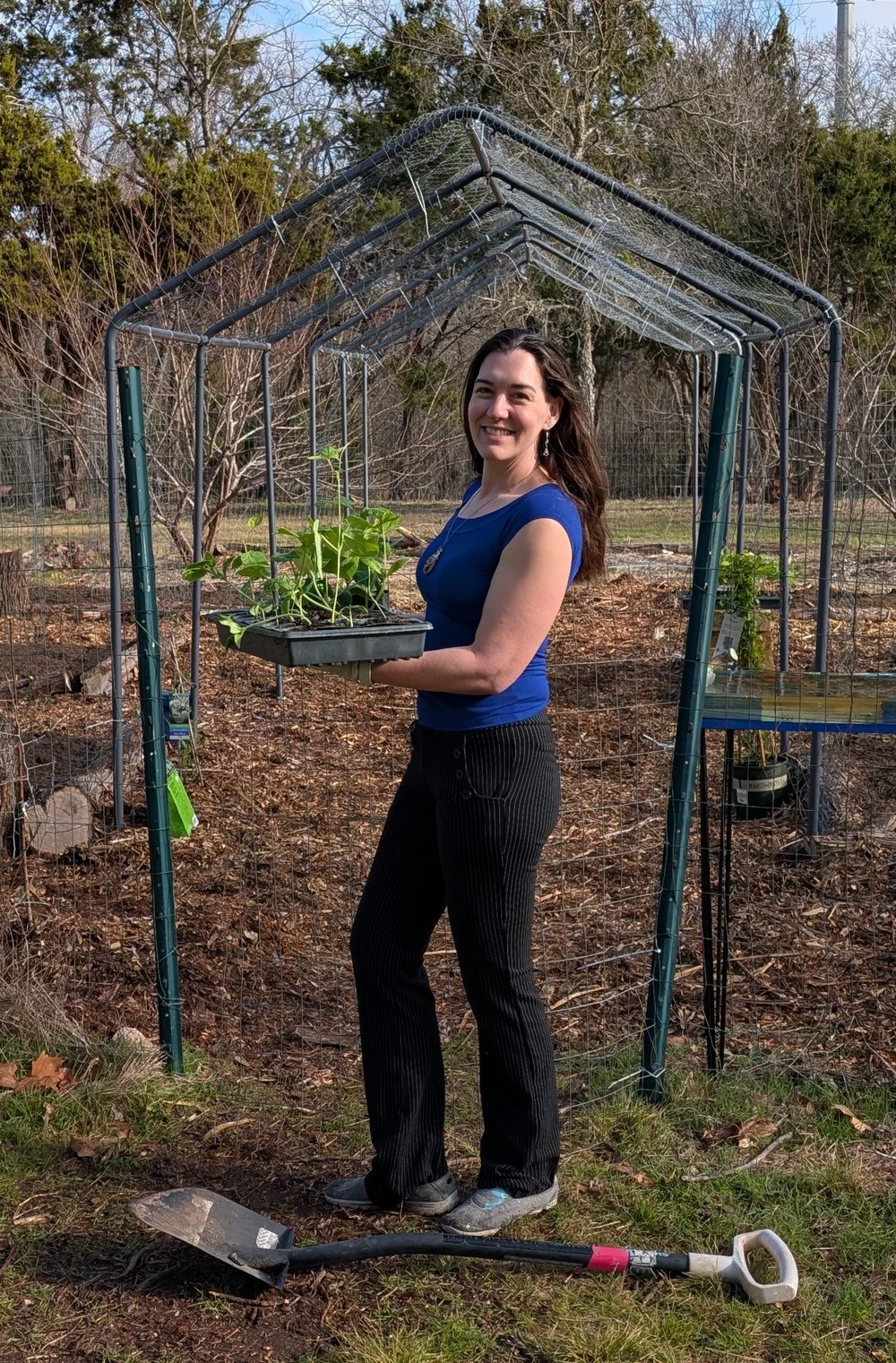 A teacher carrying seedlings in the garden