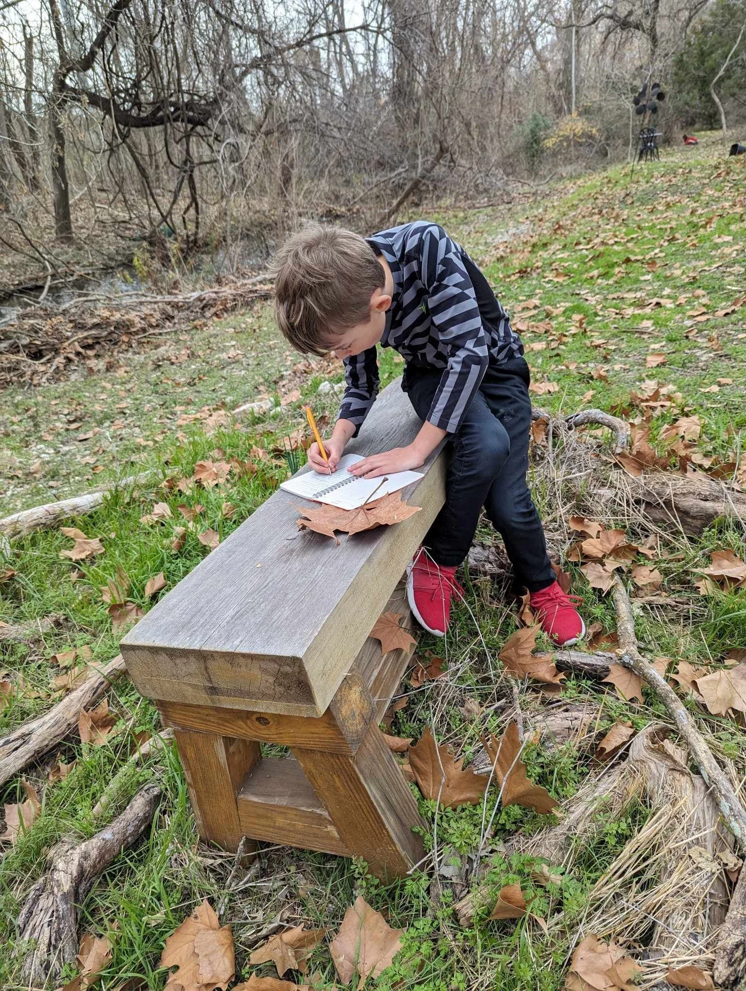 A student recording outdoor observations in a nature journal