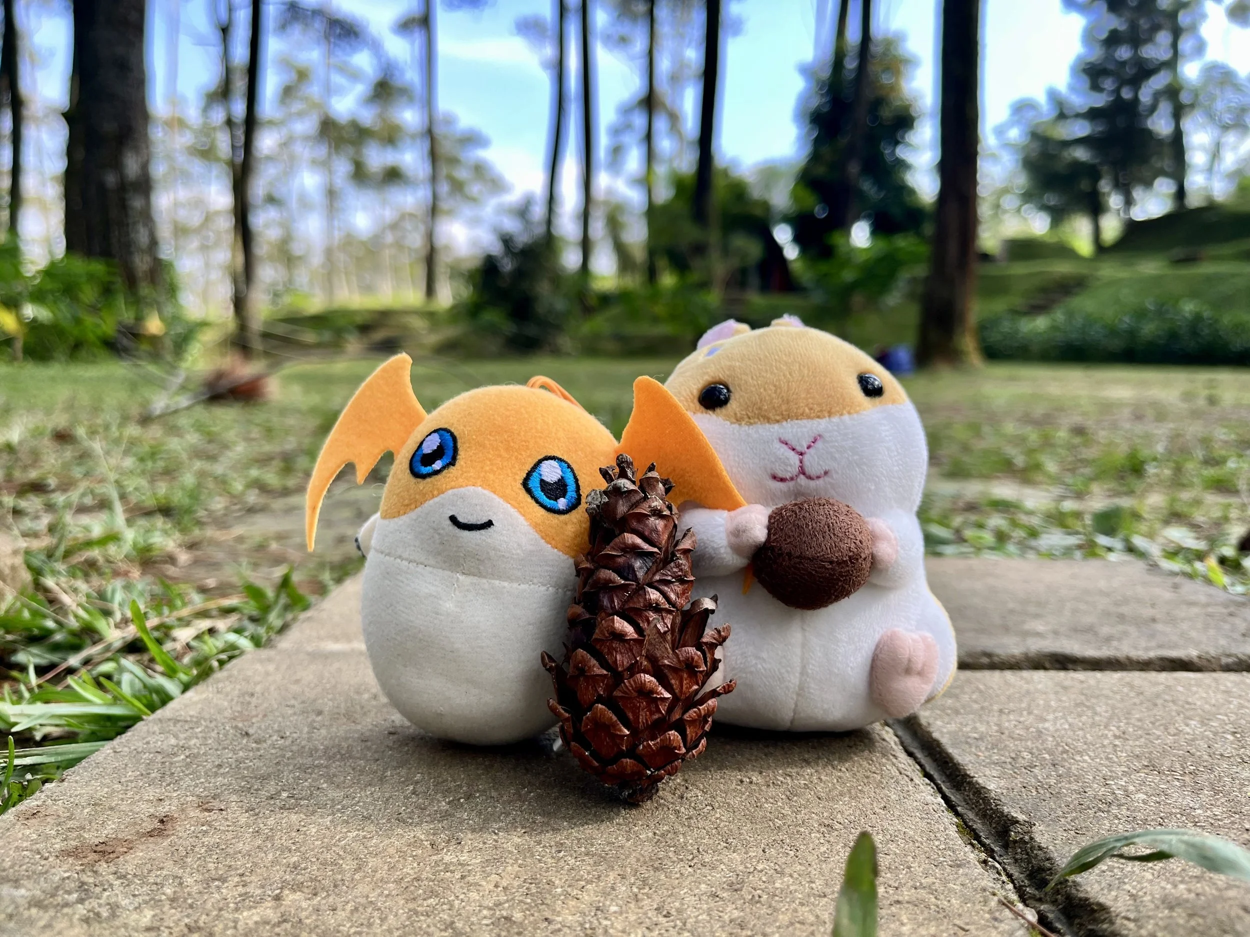 Journey with us!