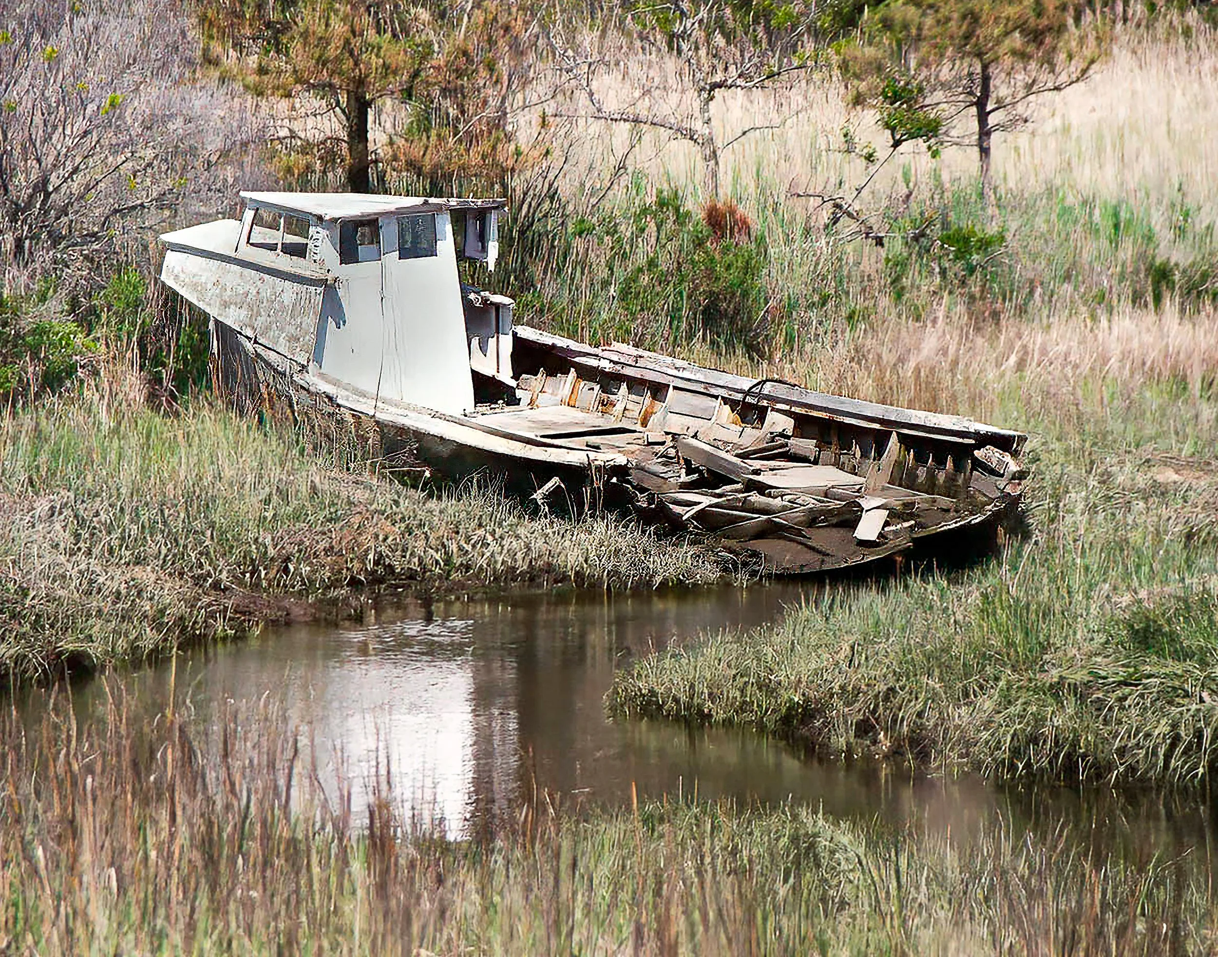 Lawrence Clemens_Eastern Shore VA_11X14 (3).jpg