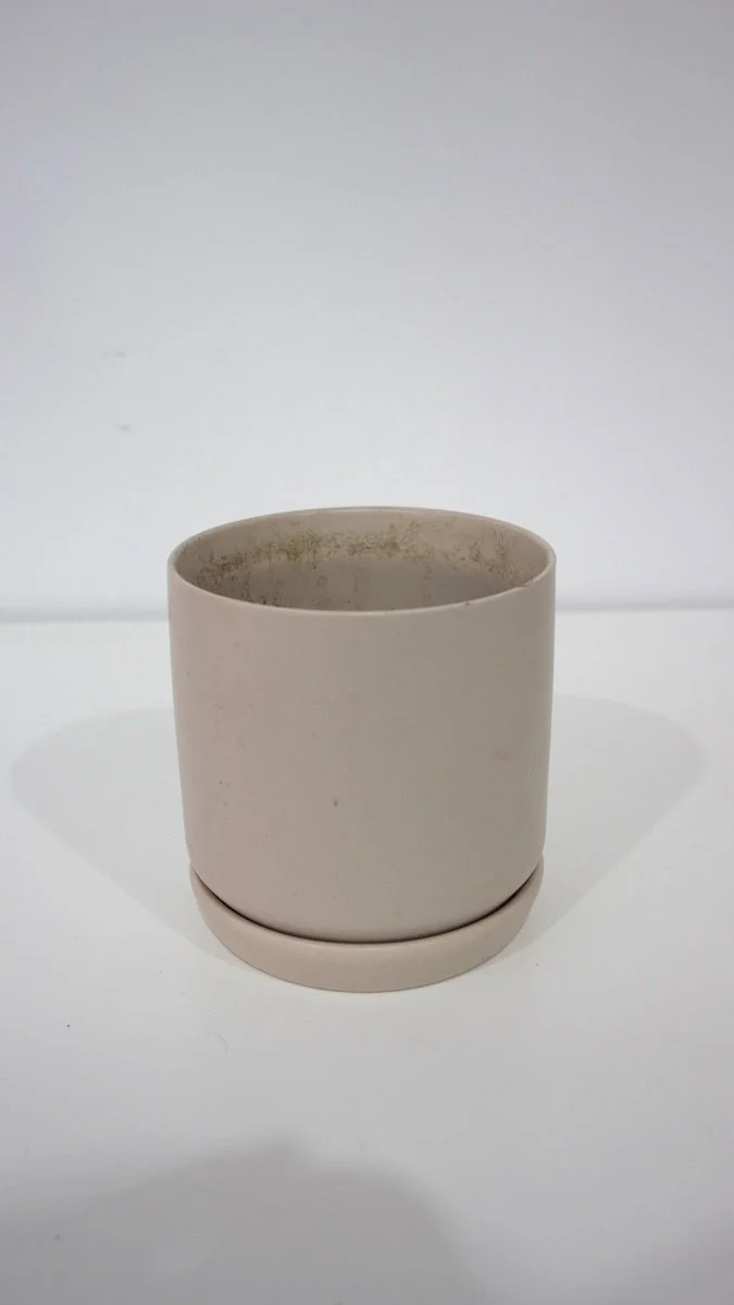 Cream Plant Pot + Saucer 12cm