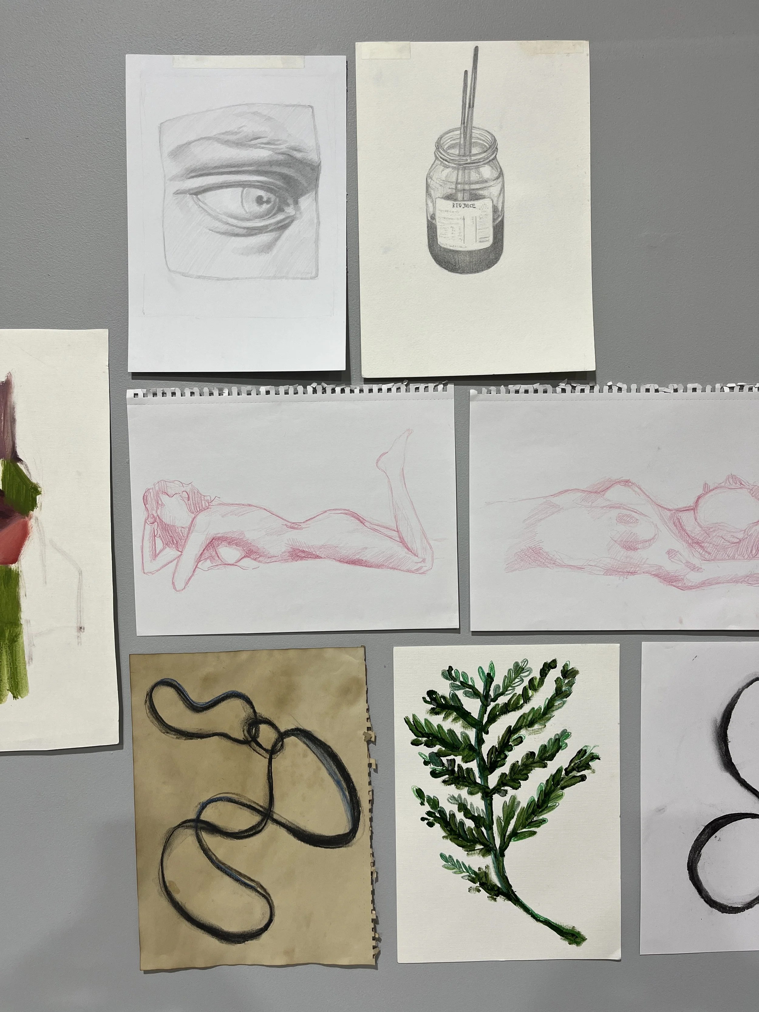 Organic Studio Bundle