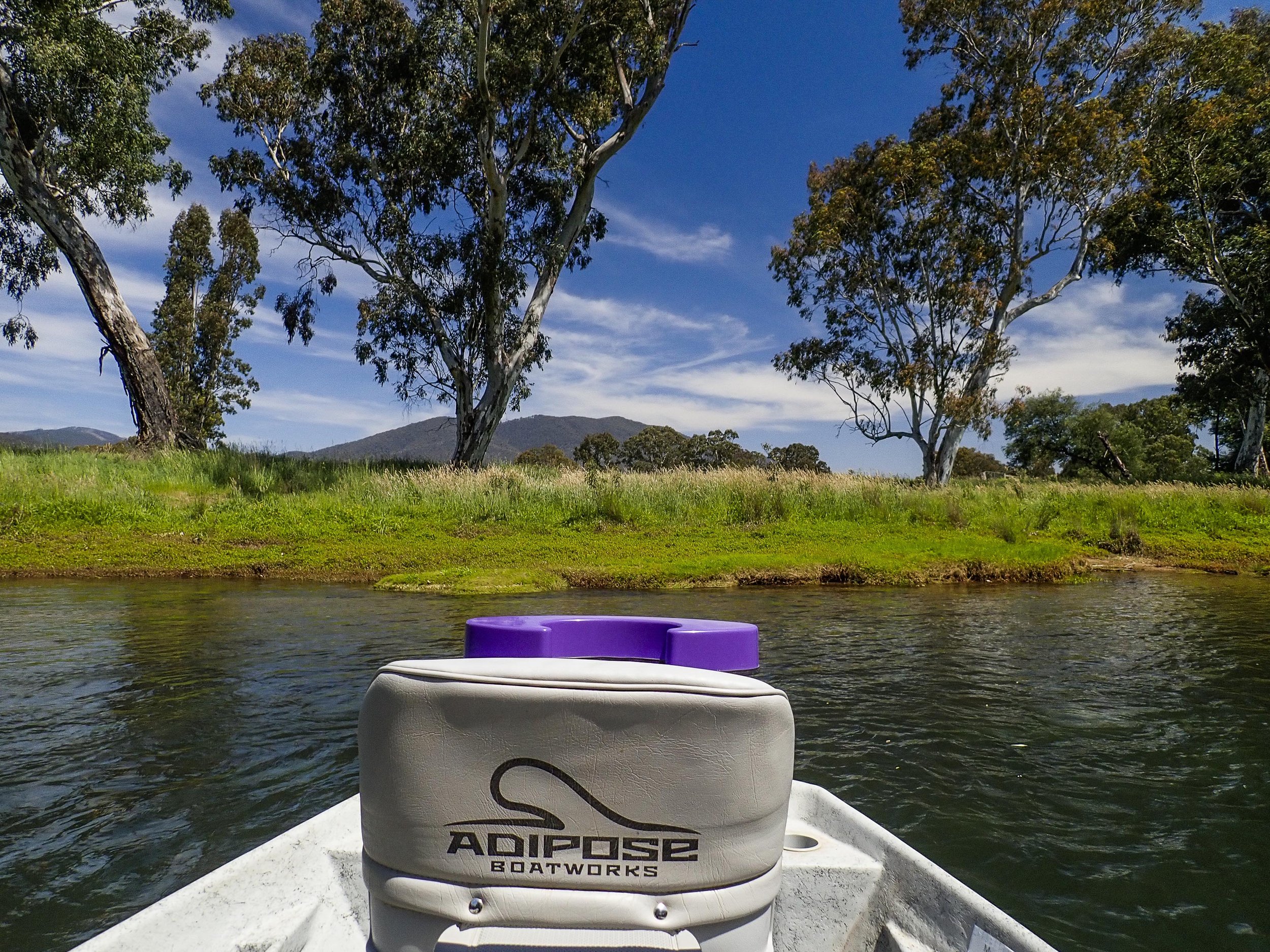 Fly fishing, Fishing Trips, drift boat, walk wade, trout fishing