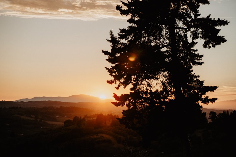 Sunset over the Chianti hills behind a pine tree