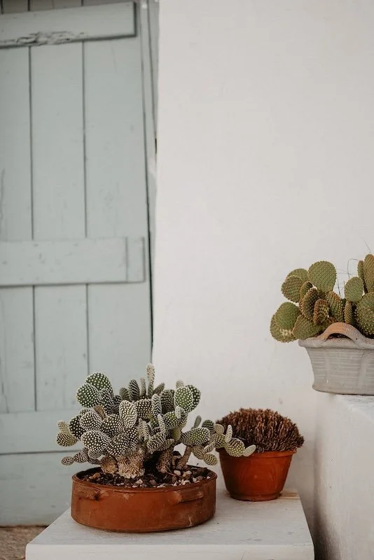 Minimalistische Hochzeitslocation in Apulien mit weißer Architektur und Olivenbäumen, moderne Destination Wedding