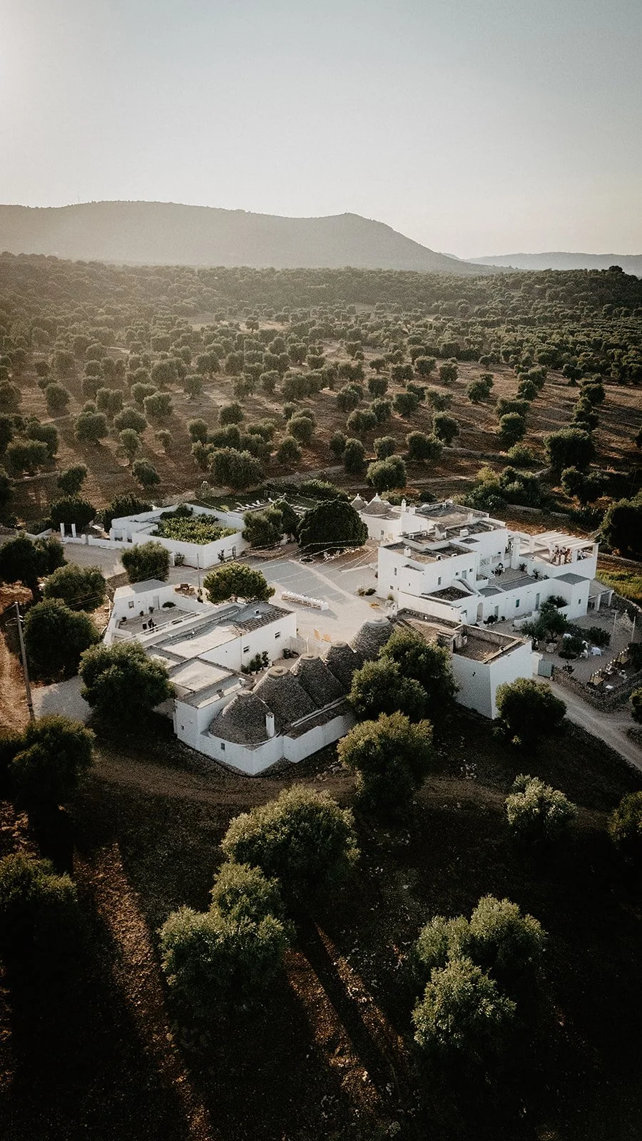 Luftaufnahme der Masseria Mozzone mit Pool und Olivenhainen in Apulien