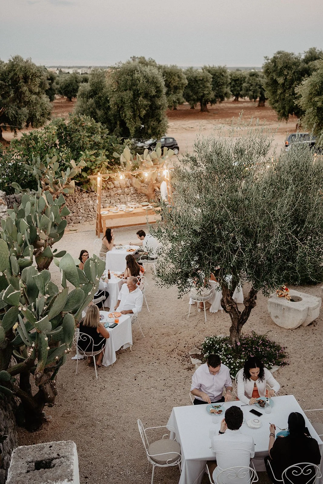 Hochzeitsgäste beim Abendessen zwischen Olivenbaum und Kakteen im Innenhof der Masseria Mozzone