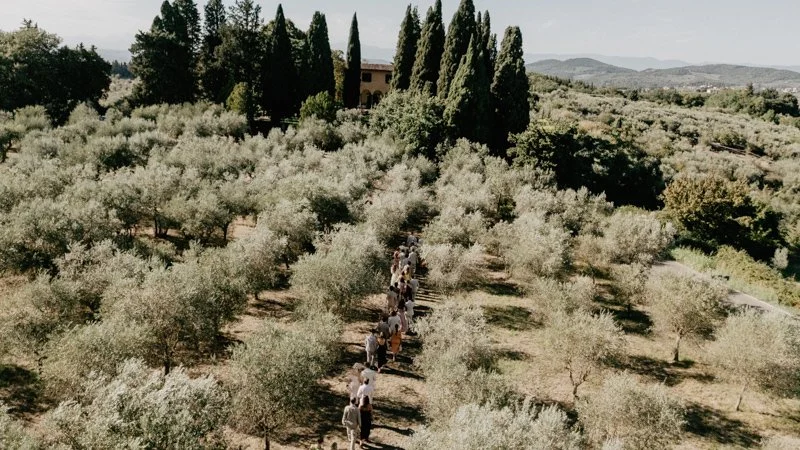 Wedding guests walk through the olive grove at Villa Il Poggiale to the outdoor wedding ceremony