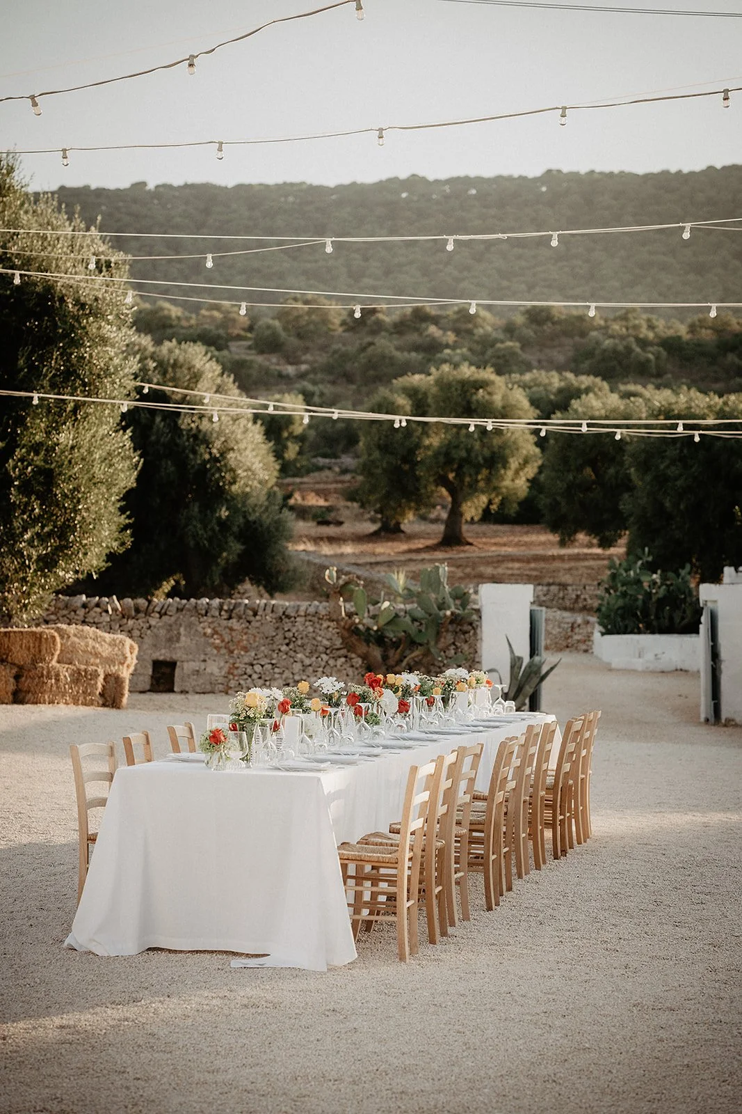 Lange Tafel mit Lichterketten zwischen Olivenbäumen an der Masseria Mozzone