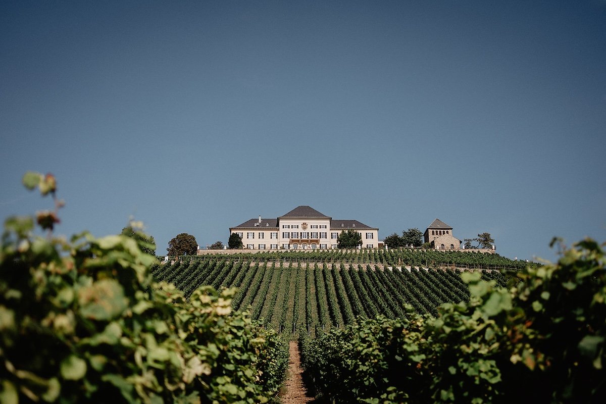 Schloss Johannisberg im Rheingau umgeben von Weinbergen
