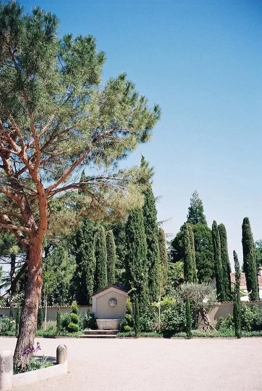 Analoges Bild der mediterranen Gartenanlage mit Zypressen im Morrhof in der Pfalz