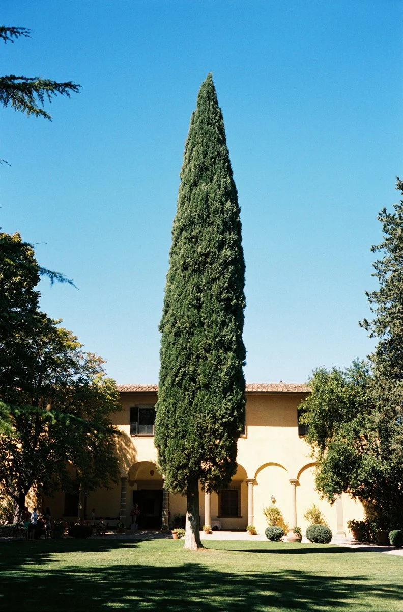 Villa Il Poggiale in Chianti near Florence, a historic wedding venue with cypress trees and lawns, captured on film