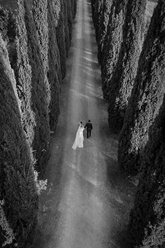 Aerial view of the bride and groom in the cypress-lined avenue at Villa Boscarello