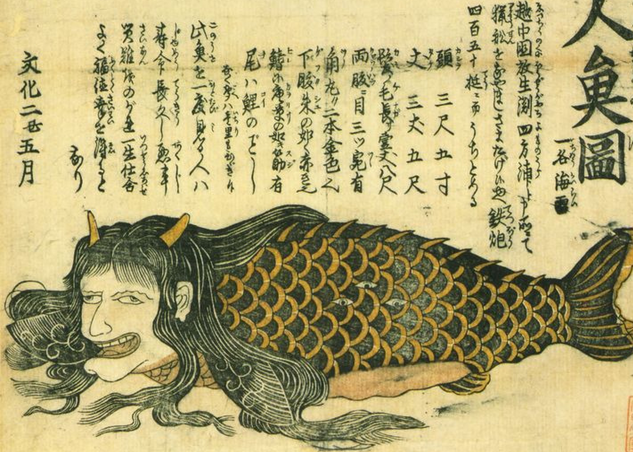 mermaidbook33.png