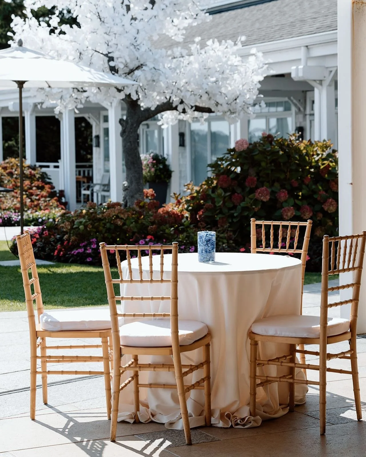 There&rsquo;s nothing quite like the Garden Terrace at @wequassett . One of my absolute favorite views on Cape Cod &mdash; timeless, peaceful, and picture-perfect. 🤍

Things are in full swing as we prep for some incredible events coming up soon! We&