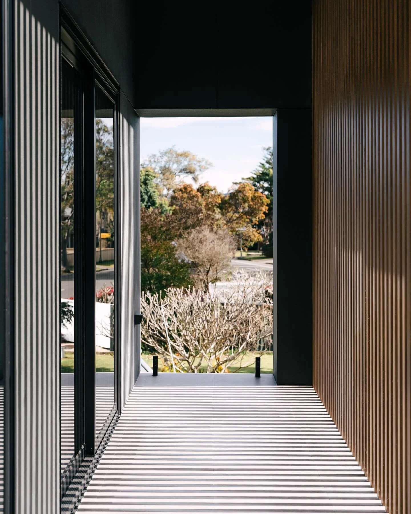 Those shadows.