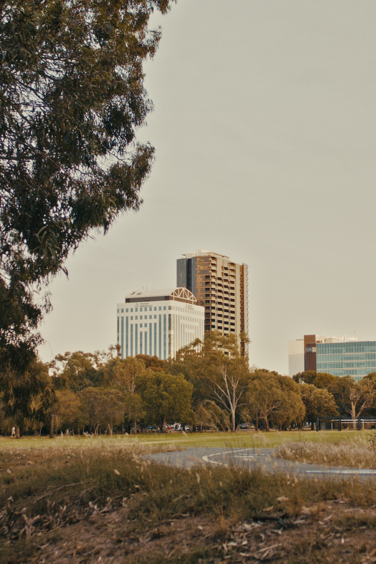 E6. Sport on Your Adelaide Park Lands