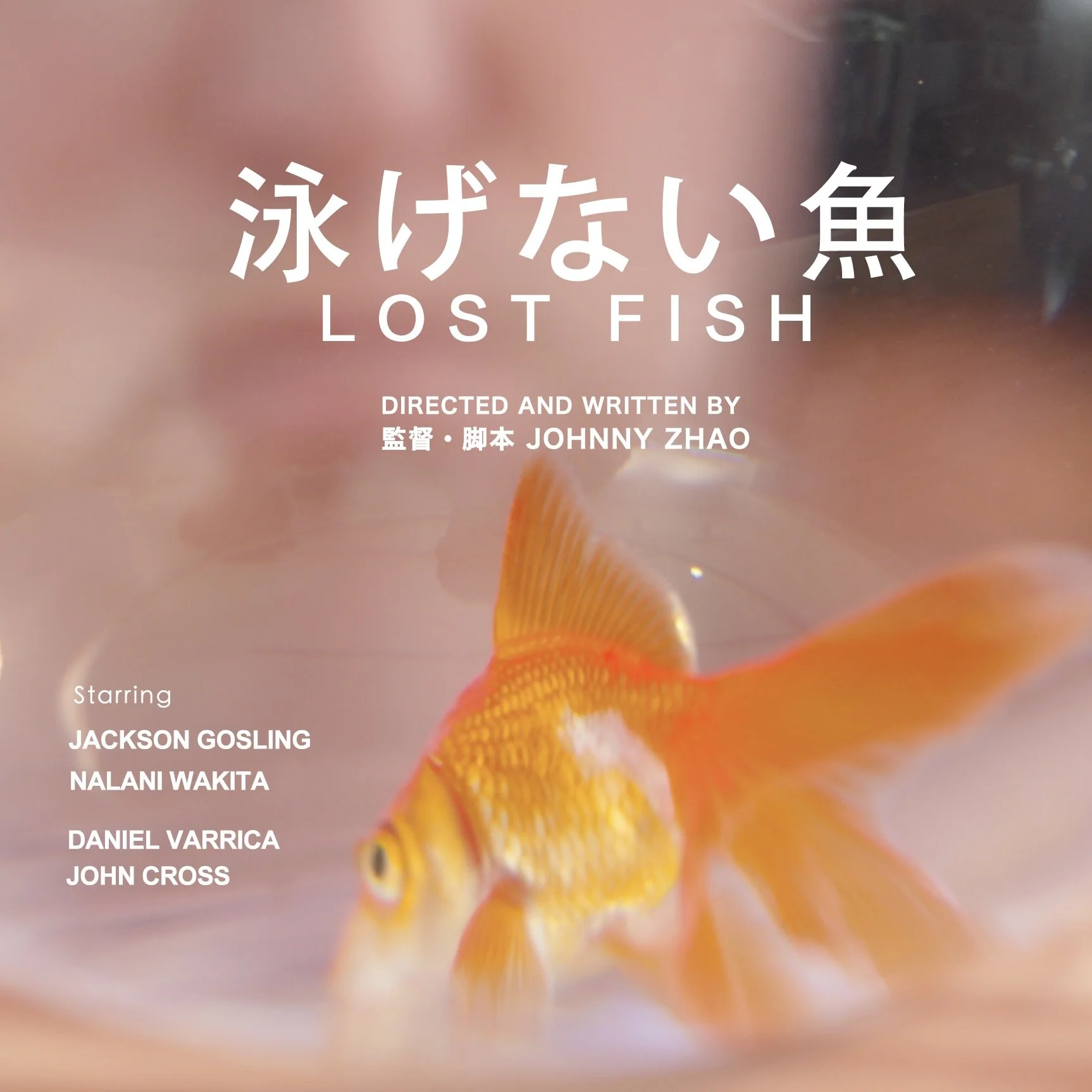 C4. Lost Fish