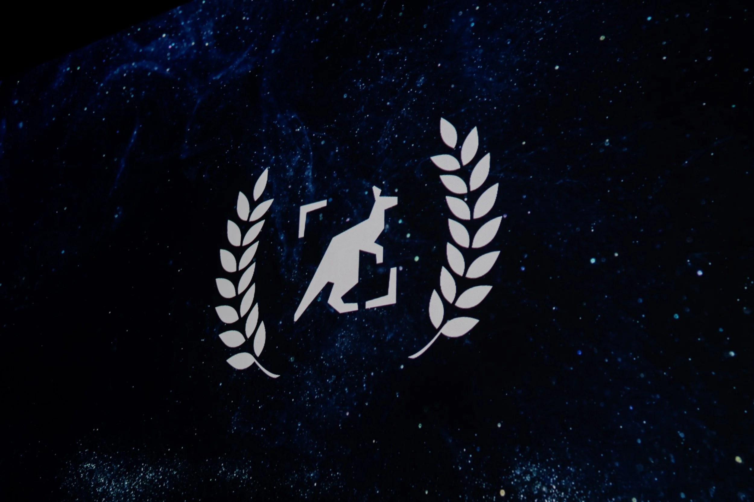 AUYFF 103.jpg