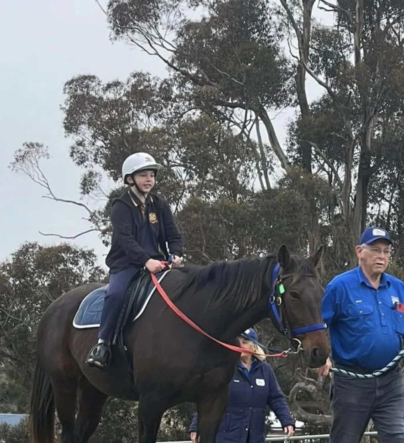 A young boy wearing a helmet riding a dark brown horse, accompanied by a man in a blue shirt and a woman in a blue jacket, outdoors with trees in the background.