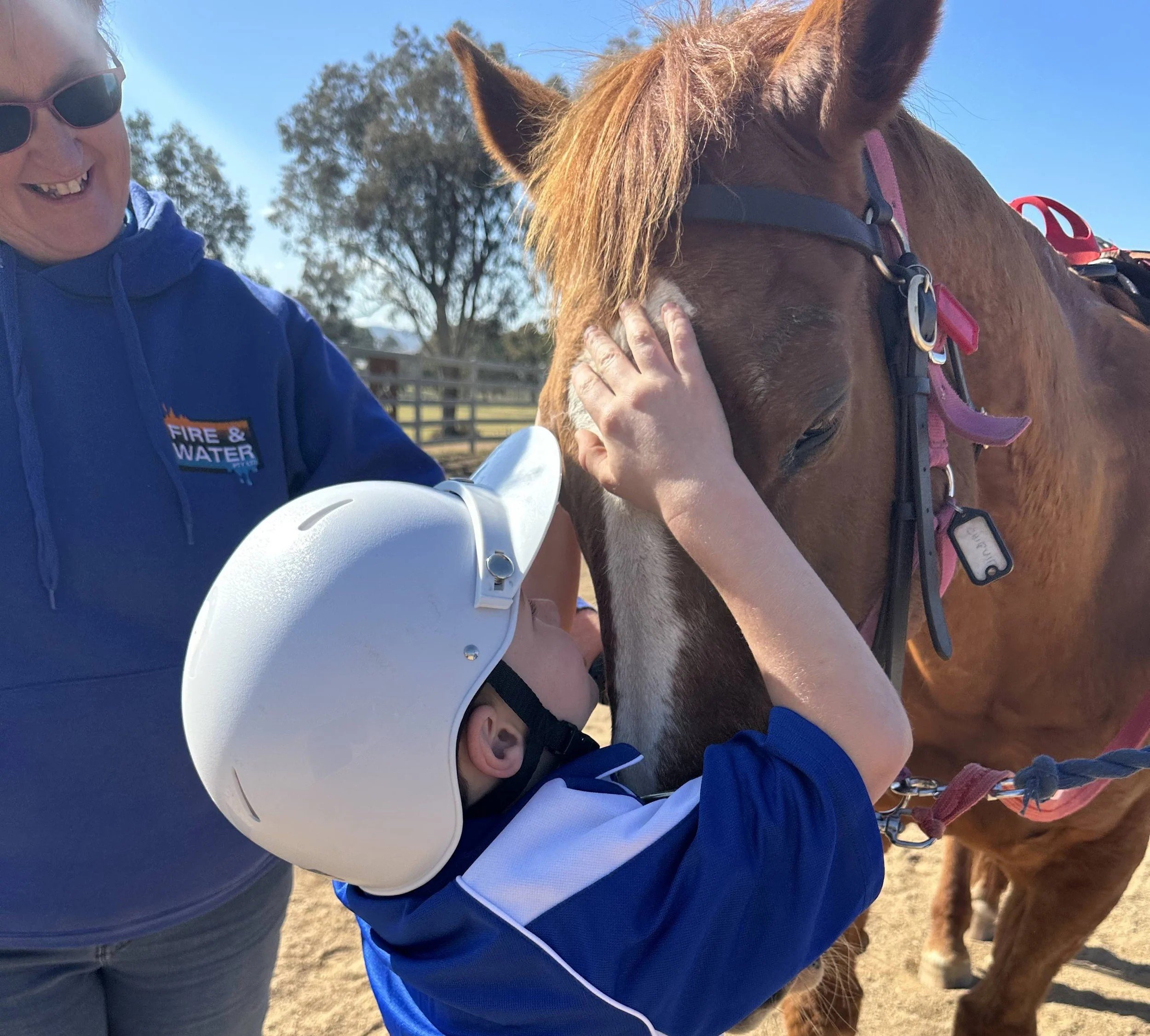 A child with a brown horse with a pink halter. The background shows trees and a fence under a clear blue sky.