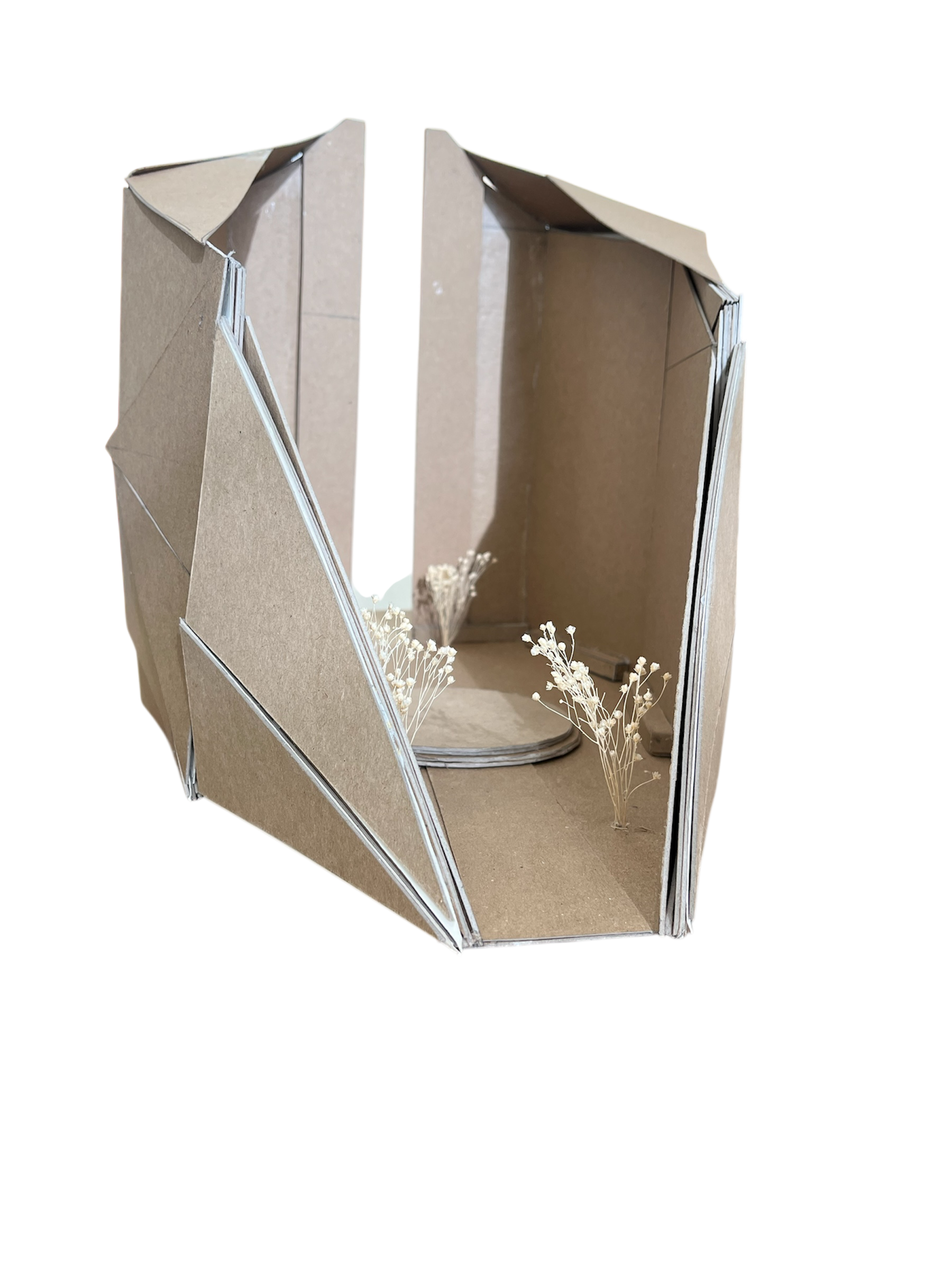 Photoroom_20250514_023030 2.PNG