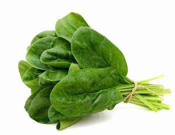 SPINACH