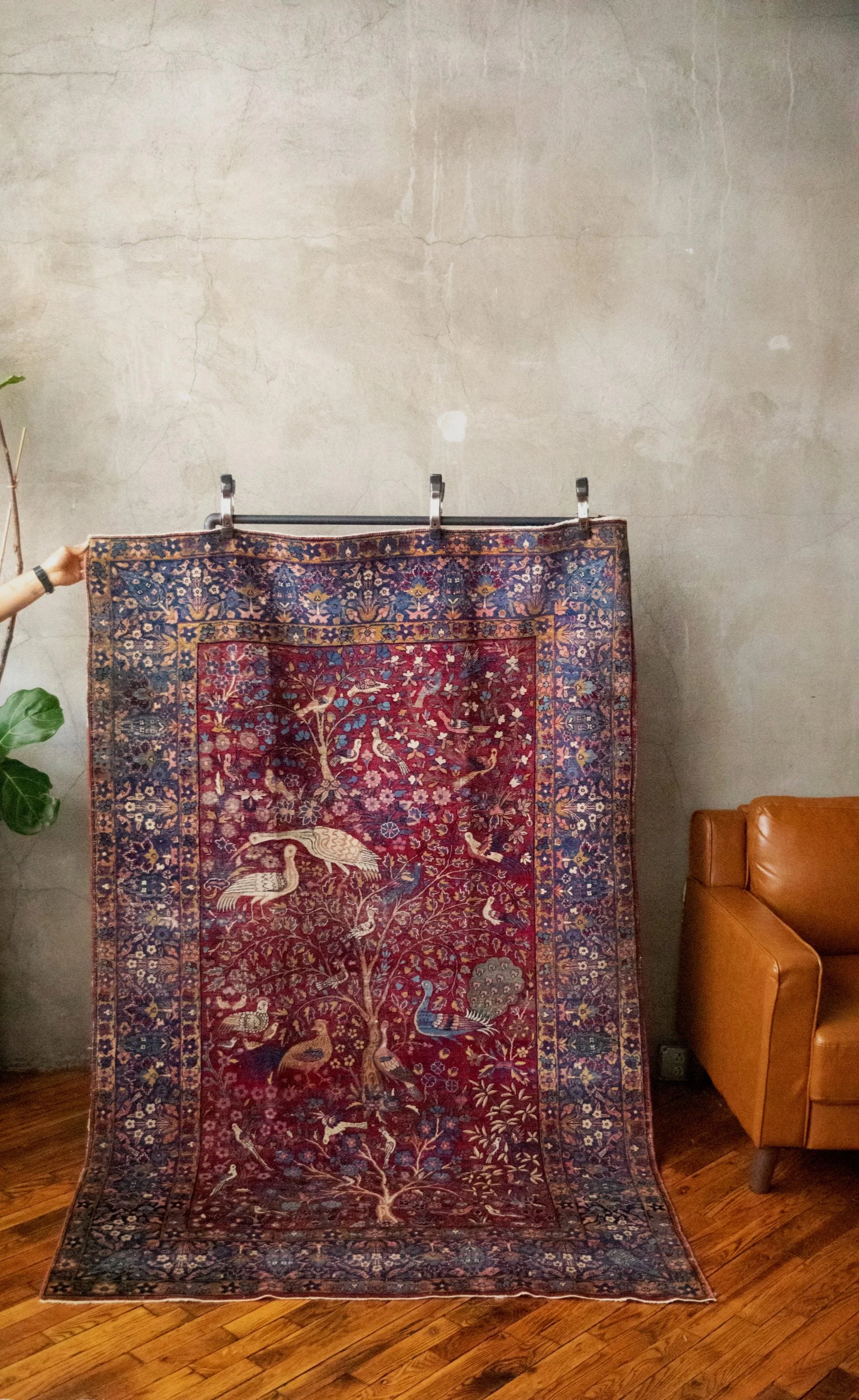 Abbas_Rugs-175.jpg