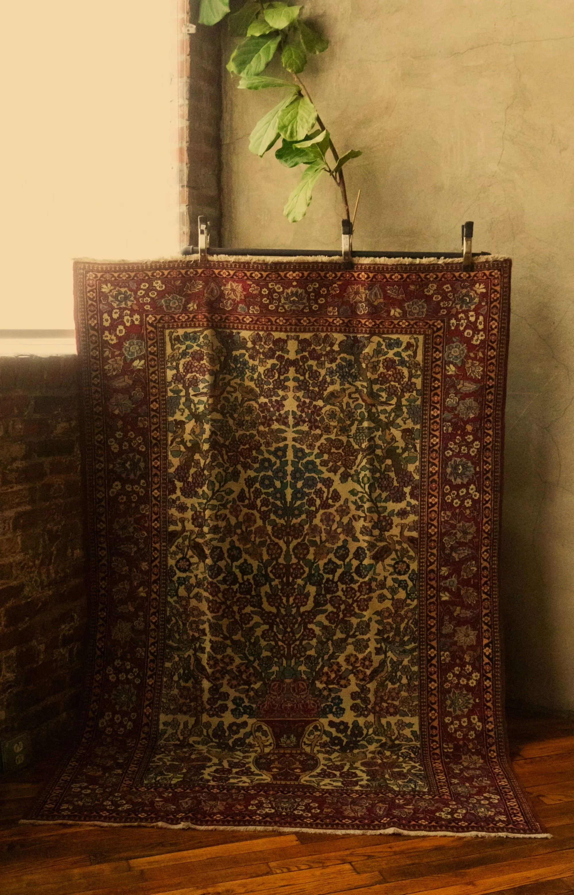 Abbas_Rugs-156.jpg