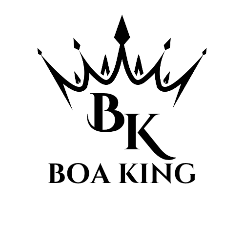 Copy of BOA KING_20250316_211935_0000.png