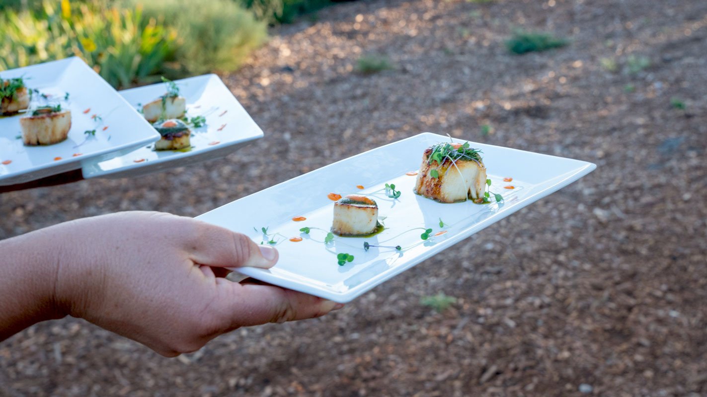 ReUnityFarms_Scallops.jpg