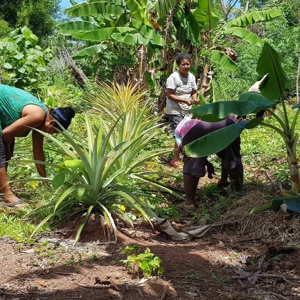 Reclaiming Resilience: How Micronesian Women are Leading on Climate Action