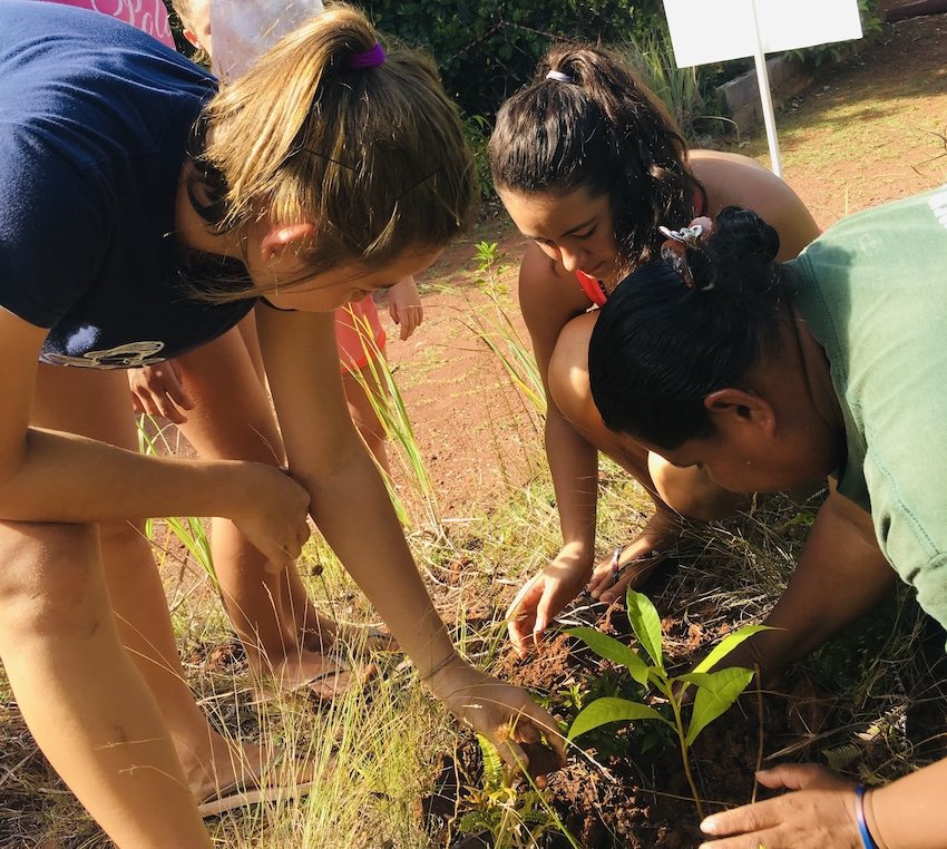 Vision to Impact: 20 Years of the Micronesia Challenge