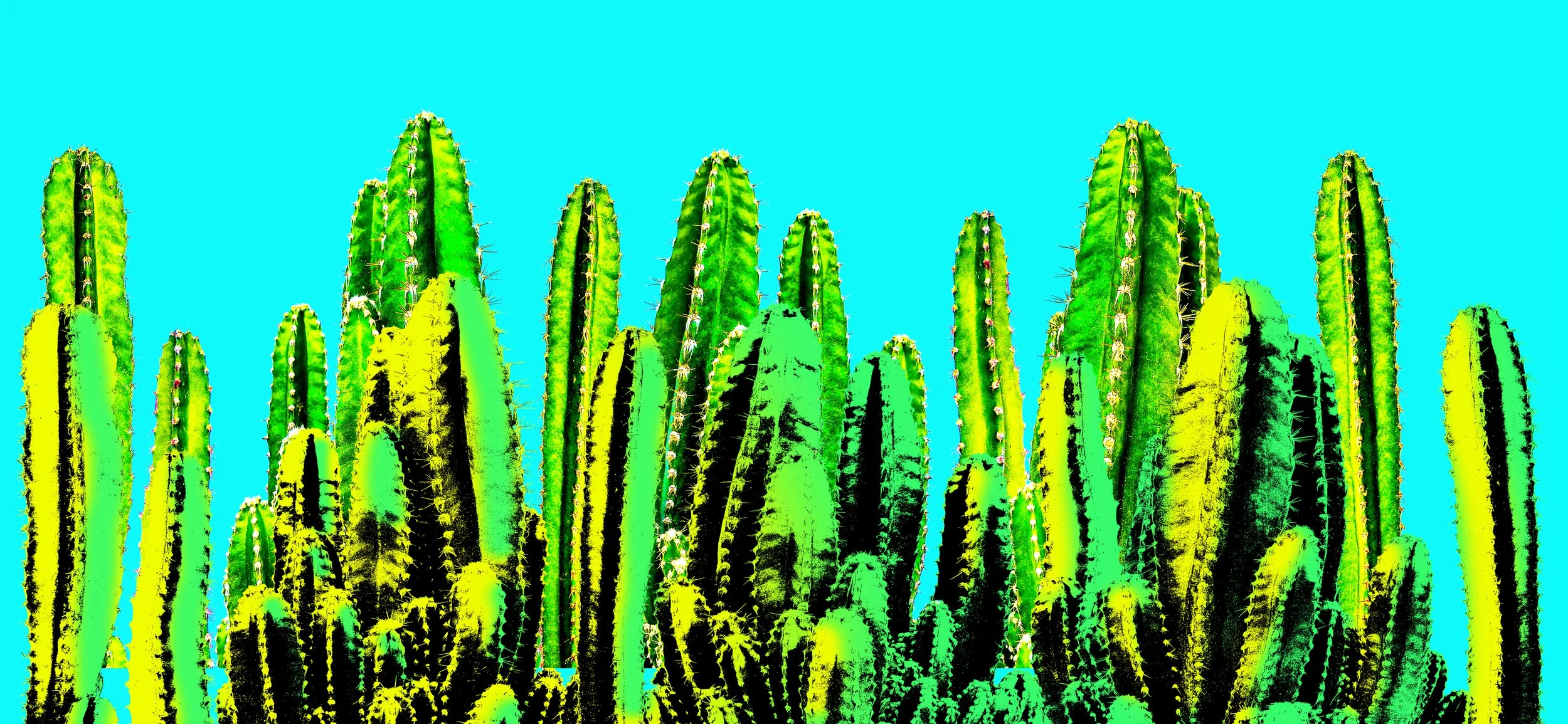 Digital art of green cacti with a bright cyan background.